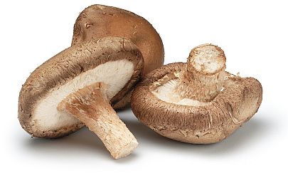 Shiitake