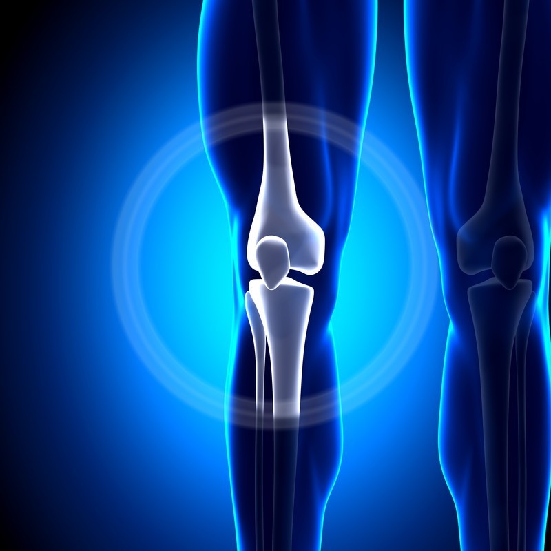 Bone Protect Orthica